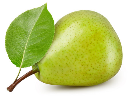 Pear isolated on white background. Taste pear with leaf.の写真素材