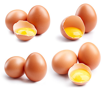 Egg collection. Brown egg isolated on white background. egg setの写真素材