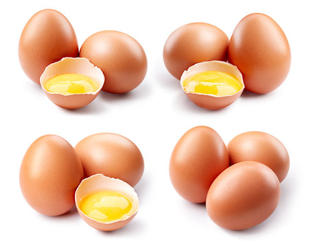 Egg collection isolated. Egg on white. Full depth of field.の写真素材