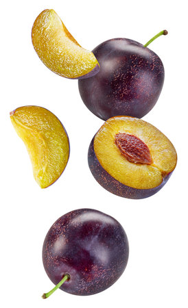 Flying plum isolated on the white background. Plum half and slice. fresh fruits isolated on white backgroundの写真素材