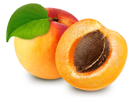apricot. Apricot isolated on white background. Apricot macro.の写真素材