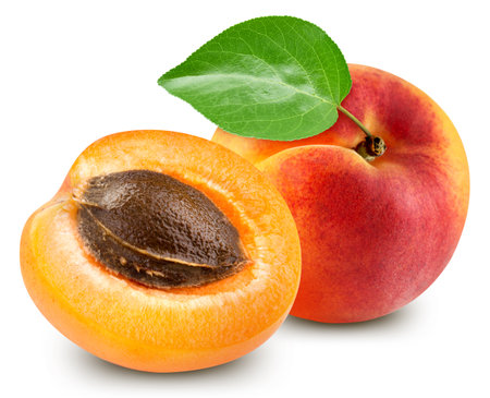 Apricot fruit with leaf isolate. Apricot and half on white.の写真素材