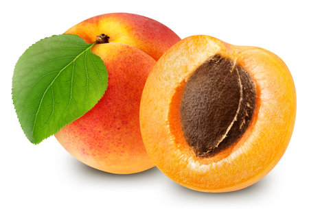 Apricots fruit with leaf isolate. Apricots half on white.の写真素材