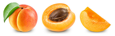 Apricot collection. Apricot isolated on white background.の写真素材