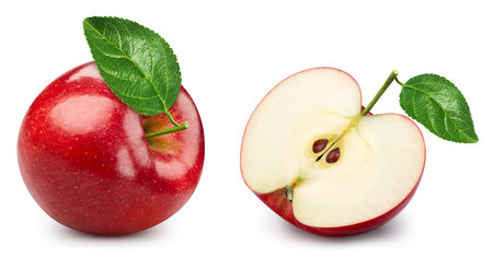 Red apple isolated on white background. Taste apple with leaf.の写真素材