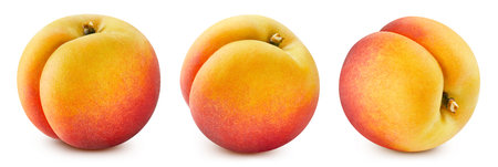 Collection peach isolated on white background.の写真素材