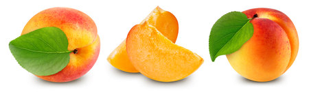 Fresh apricot isolated on white background.の写真素材