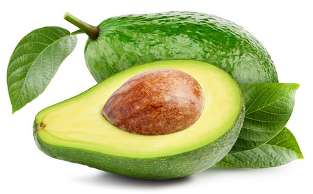 Avocado fruit with leaf isolate. Avocado half on white.の写真素材