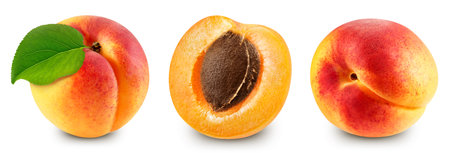 Apricot collection with leaf isolate. Apricot slice and half on white.の写真素材