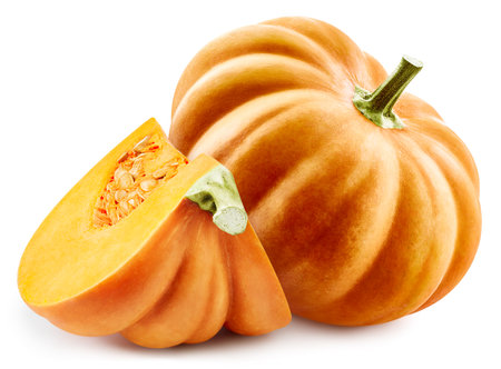 Pumpkin isolated on the white background.の写真素材