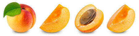 apricot. Apricot isolated on white background. Apricot macro.の写真素材