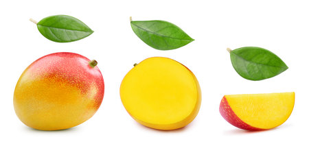mango collection. Fresh organic Mango isolated on white background.の写真素材