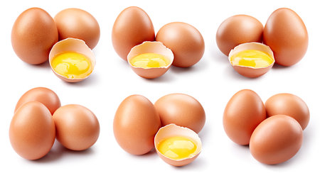 egg collection. Egg set isolated on white background. Egg macro.の写真素材