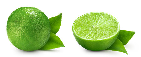 Isolated lime collection with leaf. Lime set on white background with clipping path. As design element.の写真素材