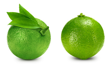 Lime collection. Fresh organic lime isolated on white background. Lime macro. With clipping pathの写真素材