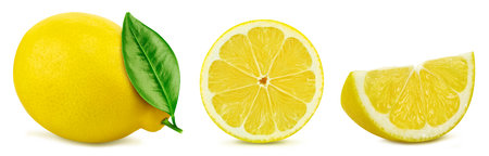 Lemon fruit collection. Lemon set isolated on white background.の写真素材