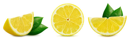 Collection lemon isolated on white background. Taste lemon with leaf.の写真素材