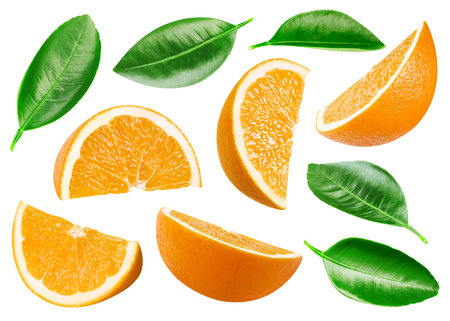 Collection orange isolated on white background. Taste orange with leaf.の写真素材