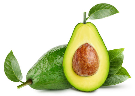Avocado with a leaf exotic fruit with half isolated on white background.の写真素材