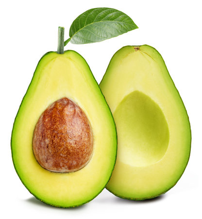 Isolated avocado with leaf. One whole avocado fruit on white background . As design element.の写真素材