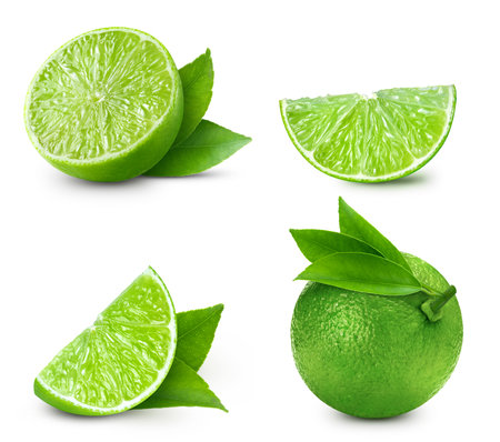 Isolated lime collection with leaf. Lime set on white backgroundの写真素材
