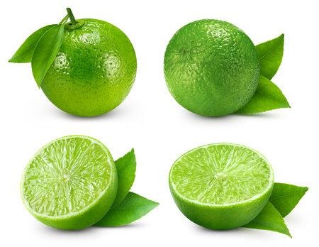 Collection lime isolated on white background. Taste lime with leaf.の写真素材