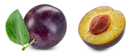 plum collection. Plum set isolated on white background. Plum macro. With clipping pathの写真素材
