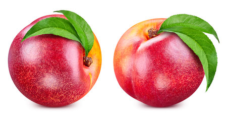 Isolated peach. Fresh organic peach with leaves isolatedの写真素材