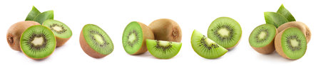 Kiwi collection with leaves isolated on white background.の写真素材