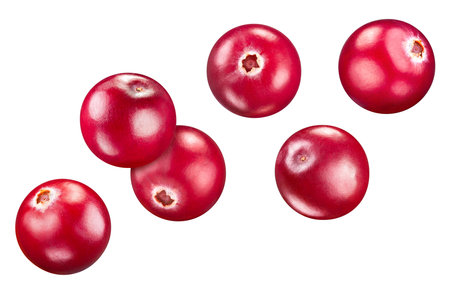Cranberry collection isolated on white background. Cranberry set Clipping Path. Cranberry macro studio photoの写真素材