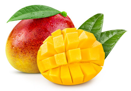Mango. Fresh organic mango isolated on white background. Mango macroの写真素材