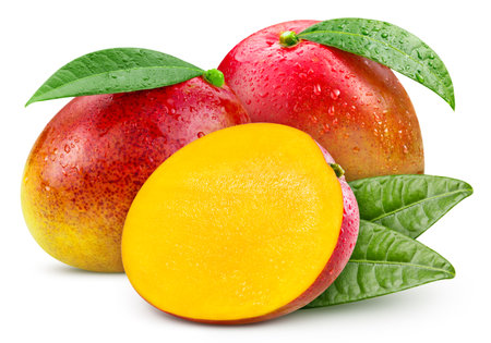 Mango. Fresh organic mango isolated on white background. Mango macroの写真素材