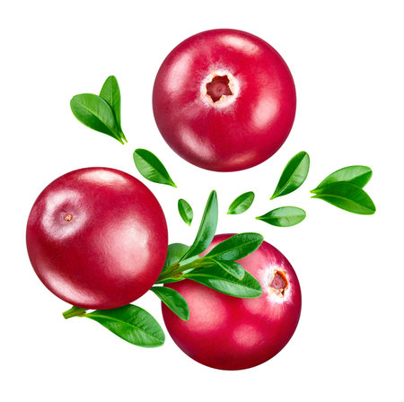 Cranberryberry. Cranberry isolated on white background. Cranberry clipping pathの写真素材