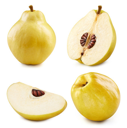 Quince isolated on white background. clipping path quince. Quince macro studio photoの写真素材