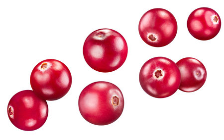 Cranberry collection isolated on white background. Cranberry set Clipping Path. Cranberry macro studio photoの写真素材