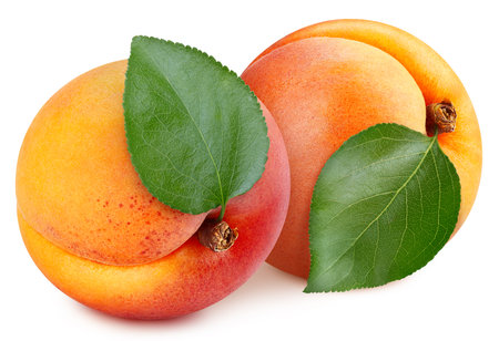 Apricot fruit with leaves isolated on white background. Apricot clipping path.の写真素材
