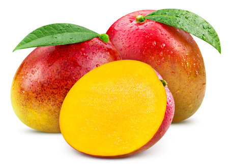 Isolated mango. Fresh organic mango with leaves isolated clipping path. Mango macro studio photo.の写真素材