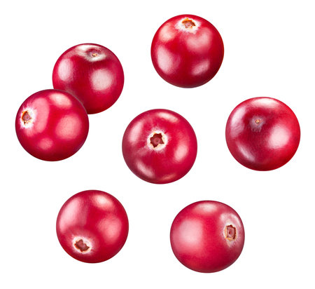 Cranberry collection isolated on white background. Cranberry set Clipping Path. Cranberry macro studio photoの写真素材