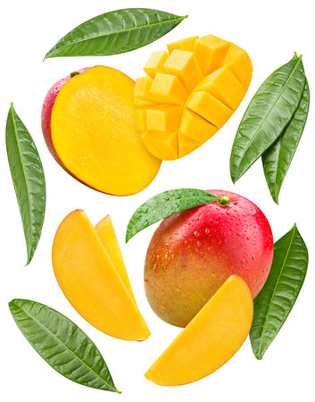 Ripe mango fruit isolated on white background. Mango composition with clipping path. Mango macro studio photoの写真素材