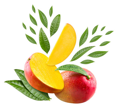Composition of Mango. Mango isolated on white background. Professional studio macro shootingの写真素材