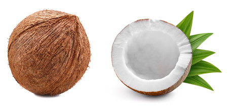Organic coconut isolated on white background. Taste coconut with leaf. With clipping pathの写真素材