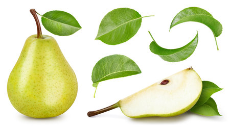 Pear collection with leaves isolated on white background. Pearl clipping path.の写真素材
