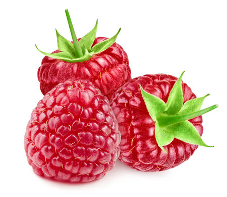Raspberry clipping path. Raspberry isolated on white background. Raspberry studioの写真素材