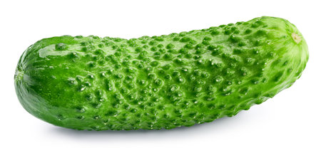 Fresh green cucumber, organic food isolated on white background. Cucumber clipping path.の写真素材