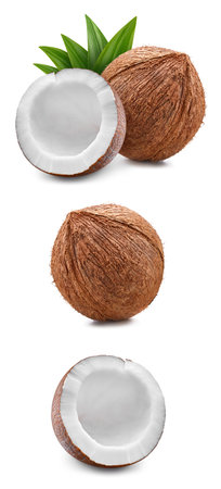 Coconut collection Clipping Path. Coconut isolated on white background. Coconut studio macro shooting.の写真素材