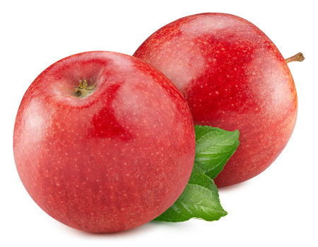 Beautiful red apples with leaves on the stem. Apples for your design. red apple clipping pathの写真素材