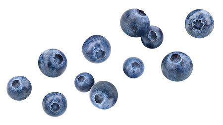 Blueberry isolated on white background. Organic blueberry isolated on white background. Taste blueberry with leafの写真素材