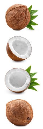 Fresh coconut with leaves isolated on white background, coconut on white background with clipping path.の写真素材