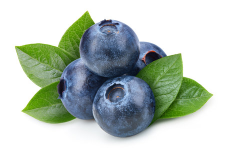 Organic blueberry isolated on white background. Taste blueberry with leaf with clipping pathの写真素材