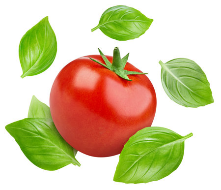 tomato. Fresh organic tomato with leaves basil isolated on white background. Tomato with clipping pathの写真素材